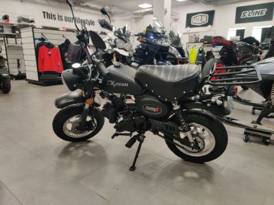 Picture of Skyteam TuningR 10” 45 km/h