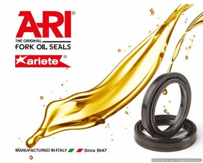 Picture of ARI Oil seal, 39 x 51 x 10,5/12