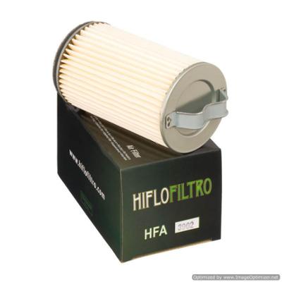 Picture of HiFlo air filter HFA3902