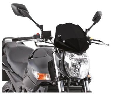 Bild på Givi Specific screen, black 29 x 28,5 cm (HxW)