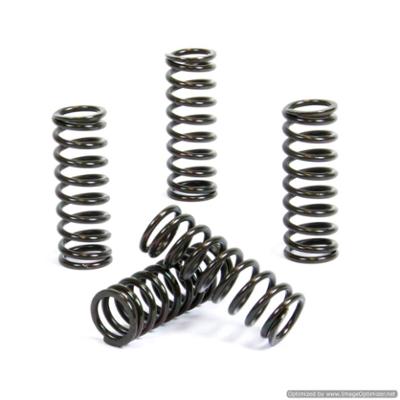 Bild på ProX Kopplingsfjädrar RM-Z250 10-11