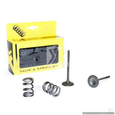 Picture of ProX Steel Exhaust Valve/Spring Kit RM-Z450 05-06
